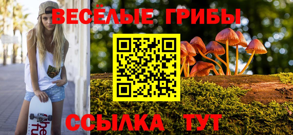 Псилоцибиновые грибы мицелий Буйнакск