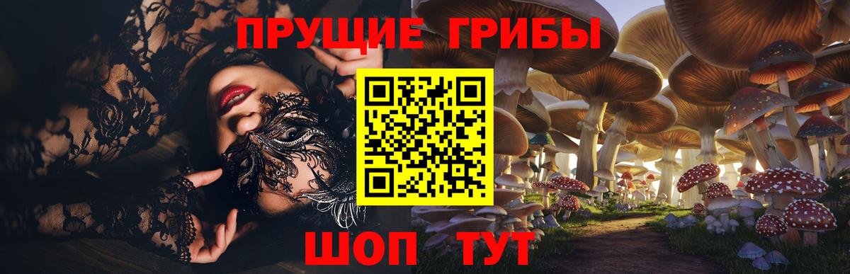 Буйнакск  Псилоцибиновые грибы GOLDEN TEACHER  где продают   Вход с VPN 