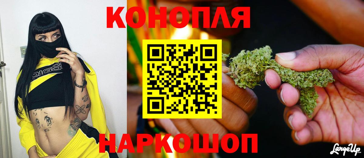 Конопля план  Конопля конопля  Бошки марихуана тримм  Вход с VPN  Буйнакск 